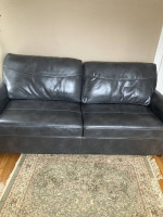 Sofa / Couch (with Foldout Bed)
