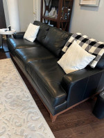 LEATHER Sofa & love seat
