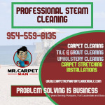 Carpet, Sofa and Tile Cleaning