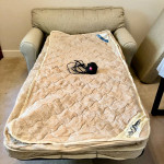 Sofa Sleeper w/ inflatable mattress (twin) - new