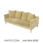 Room & Board Modern Two Cushion Sofa (Was 2500)