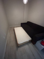 West Elm Sofa/Daybed
