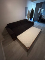 West Elm Sofa/Daybed