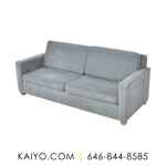 West Elm Henry Sofa (Was 1199)