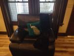 Motion leather sofa/chair