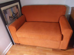 Loveseat Sleeper/Sofa