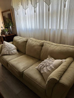 Living Room Chairs & Sofa