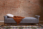 Mid-Century Modern Futon Sofa
