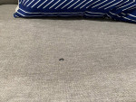 Grey Sofa Set