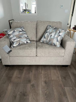 New Sofa and Love Seat