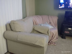 Sofa and chair