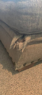 Broyhill Brand Sofa