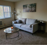 Bauhaus Mid Century Gray Sofa with Removable Arms