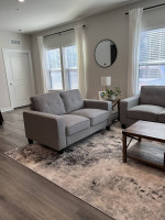 Almost New - Sofa and Loveseat