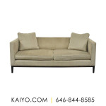 Room & Board Modern Two Cushion Sofa (Was 2499)