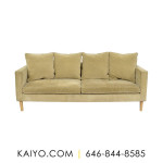 Room & Board Modern Two Cushion Sofa (Was 2500)