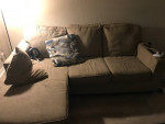 Living room sofa plus lamp $50