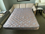 Leather Sofa Bed (Full)