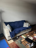 Nebraska Furniture Mart (Omaha) Sofa - 2 years - Excellent Condition