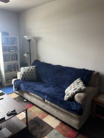 Nebraska Furniture Mart (Omaha) Sofa - 2 years - Excellent Condition
