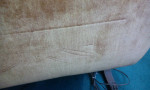 Early 20th century Duncan Phyfe style sofa