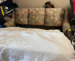Sofa Bed - BEST DEAL EVER - ONLY $49