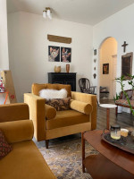 Velvet mid century sofa and chair