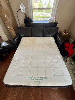 Leather Couch / Sleeper Sofa in Excellent Shape