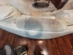White leather sofa