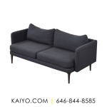West Elm Auburn Sofa (Was 899)