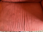 Couch/Sofa