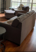 Couch, sofa, chaise
