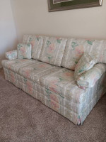 Sleeper sofa