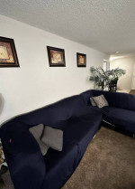 Modern Elegance Navy Sofa with Bonus Cover and Decorative Pillows