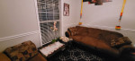 Sofa Set for Sale
