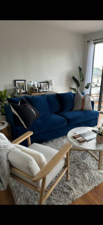 Joybird Miller Sleeper Sofa [6months old]