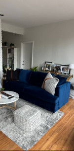 Joybird Miller Sleeper Sofa [6months old]