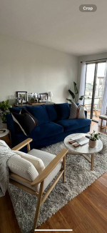 Joybird Miller Sleeper Sofa [6months old]