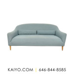 Crate & Barrel Pennie Sofa (Was 999)