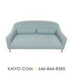 Crate & Barrel Pennie Sofa (Was 999)