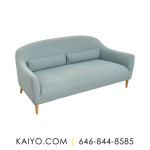 Crate & Barrel Pennie Sofa (Was 999)