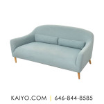 Crate & Barrel Pennie Sofa (Was 999)