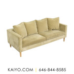 Room & Board Modern Two Cushion Sofa (Was 2500)