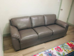Lothan 87" 💯 % Leather Sofa Queen Sleeper,