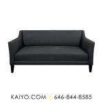 Crate & Barrel Margot Sofa (Was 799)