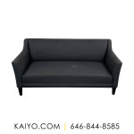 Crate & Barrel Margot Sofa (Was 799)