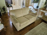 Sleeper Sofa + Loveseat Set