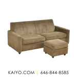 Crate & Barrel Prado Sofa and Ottoman  (Was 1399)