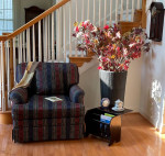 Cozy Chair & Sofa