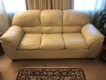 Leather Couch Set (3 piece) with Sofa Bed full size mattress
